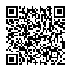 只有与陈长生交过手的薛河及梁红妆早有心理准备二维码生成