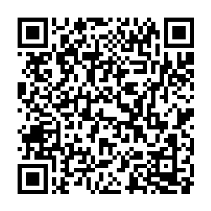 只有世界天王或者有潜力成长为世界天王的人才可能登上那个封面二维码生成