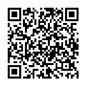 只有两个任务――第一个任务是和边学道生个孩子二维码生成