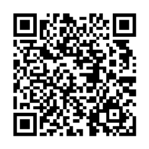 只有中午和晚上才能抽出时间到市委市府参与人事研究二维码生成