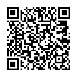 只有他们的人头落地我才能有一个比较好的睡眠二维码生成