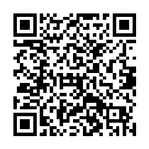 只有他们这些人才知道他们塔主和蝎面究竟是什么关系二维码生成