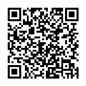 只有他才清楚之前那最后一拳的结果以及陆逊所说的话二维码生成