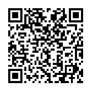 只有他死……只有君无极死了……这一切才不会再发生二维码生成