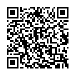 只有他这个愚不可及的热血高中生一路走到今天二维码生成