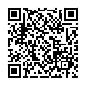 只有你才能查明我的身世……找到我的家乡在哪里二维码生成