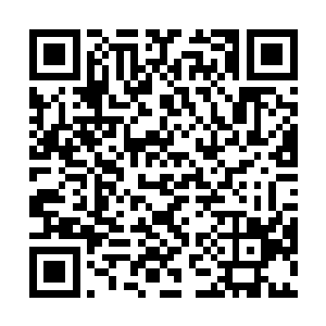 只有你这样的企业创始人+掌舵者才能跟上那些人节奏二维码生成