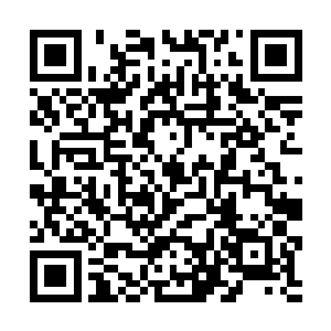 只有先让许浩桑和许浩隆等人先留着天欲城内修炼了二维码生成