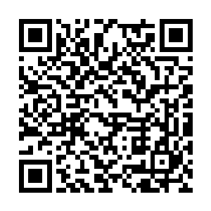 只有几个与谢坤一样抛头露面直接抨击苏家父子的二维码生成