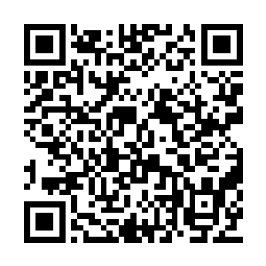 只有几个没学过胆子又小的学生才乖乖站在那里二维码生成