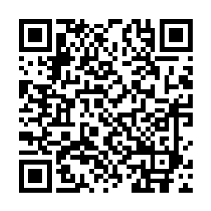 只有几条不宽的道路作为特殊通道供人和运输车辆通行二维码生成