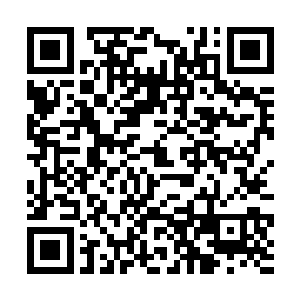只有几片树叶老树枝干从院墙的那边伸到通道的上方二维码生成