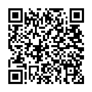 只有凤火舞见到杨戬的样子之后心中仿佛升起了一丝明悟二维码生成