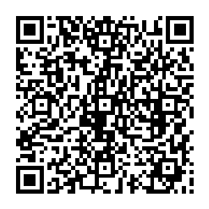 只有刚刚从洛杉矶赶回来的蒂娜菲拿着一瓶新西兰的原装红酒和四个杯子走了过来二维码生成