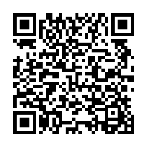 只有刚刚结婚的新郎新娘才会联袂去给村里的父老相亲拜年二维码生成