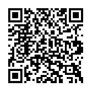 只有到了神龙进食和他吸收龙息的日子才会出来二维码生成