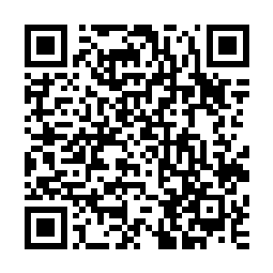 只有南耀陛下和皇后还有南耀太子与最受宠的小公主南耀宝儿二维码生成