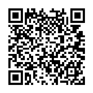 只有同时获得剑神之心和剑神之剑认可一条路可走二维码生成