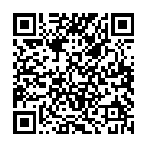 只有听到赤狐猜测无道可能拥有不止一门天级武技时二维码生成