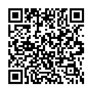 只有在副本里完成任务才能拿到的绝版奖励技能二维码生成