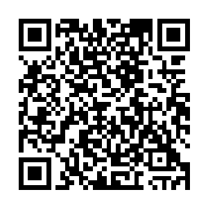 只有在外界给了足够的刺激的情况下才会完全清醒过来二维码生成