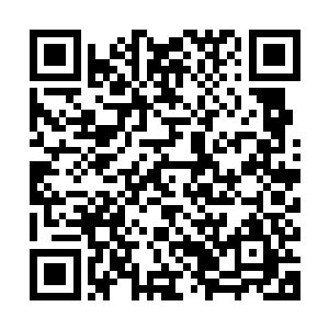 只有在外面漂泊过才更能体会有个稳固扎根的地方是多么的重要二维码生成