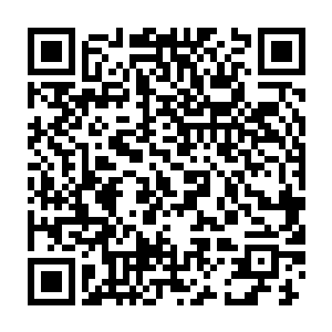 只有在正中央的位置有着一个占地面积足有数千平方米的城堡建筑二维码生成