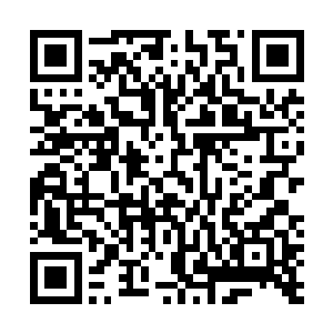 只有在自身血脉本质和实际力量都要压倒对手时才有奇效二维码生成