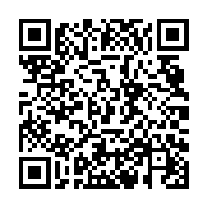 只有在被特质的宝石材质包裹的时候才会变得半透明二维码生成