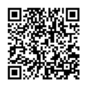 只有在这种地方才能训练出远超常人的反应速度二维码生成