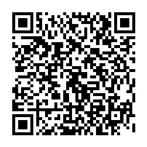 只有在进入那个大殿中的那个大门之时才会限制修为在结丹期以上的修士二维码生成