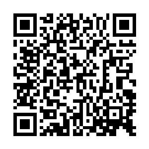 只有在遇到同样无毒的兰芝草才会让人有一瞬间的昏昏欲睡二维码生成