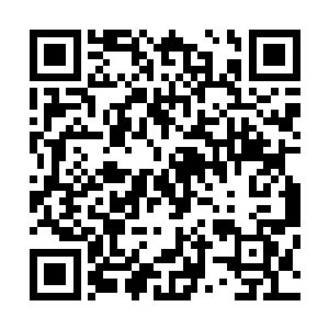 只有在那个时候才能够将白骨藤的汁液弹入那两个节点之中二维码生成