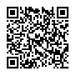 只有在面对实力和我差不多或者比我低的对手面前二维码生成