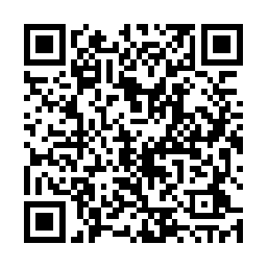 只有在麒麟出去巡视领地的时候才有机会去找麒麟宝藏二维码生成