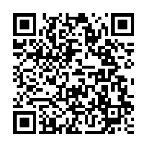 只有堡主大人可以踏上这几级接近曼殊沙华因缘万果宝树的阶梯二维码生成