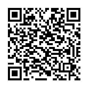 只有外界一直认为影子经纪人和他的组织已经彻底消亡二维码生成