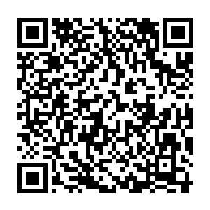 只有大家的脚步声和呼吸声在这阴森黑暗的地下空间之内轻轻的回荡着二维码生成