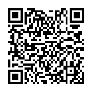 只有天启术士等罕见职业在第一次召唤宠物的时候二维码生成