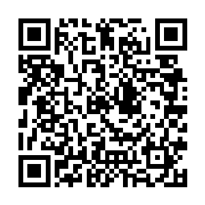 只有她们才能想办法帮我把这个东西稳稳的运回京城二维码生成