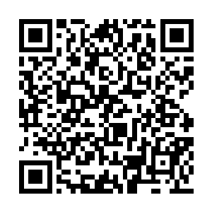 只有妖族自身的力量才是天地之间追纯正的力量二维码生成