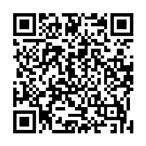 只有实力能彻底镇压天界所有强者的人才有资格登上帝位二维码生成