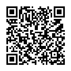 只有寄希望于去周围几个城市购买的弗雷萨他们了二维码生成