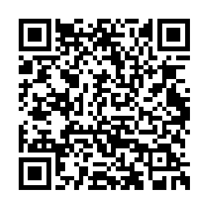 只有将眼前的这小子解决掉才有机会前往火麟池二维码生成