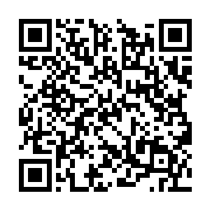 只有少数一些实力低微的族人还没有完全恢复状态二维码生成
