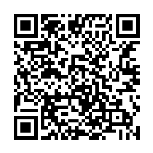 只有弃天帝一个……至于远吕智究竟还藏了多少实力二维码生成