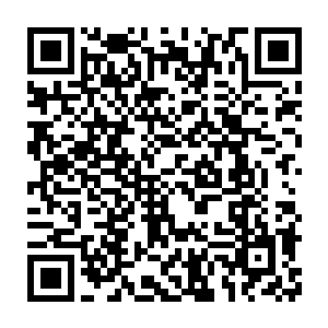 只有张潇晗和莫少寒还保持着累到差不多脱力才会去吃东西的习惯二维码生成