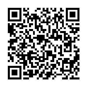 只有张潇晗对沐随风出手才不会受到规则的反噬二维码生成