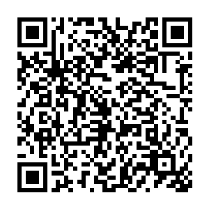 只有当一个位置的交易完毕的时候才可以开始下一场拍卖会的拍卖二维码生成