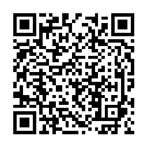 只有当你修为到达元婴期后方才能有进一步的提升二维码生成